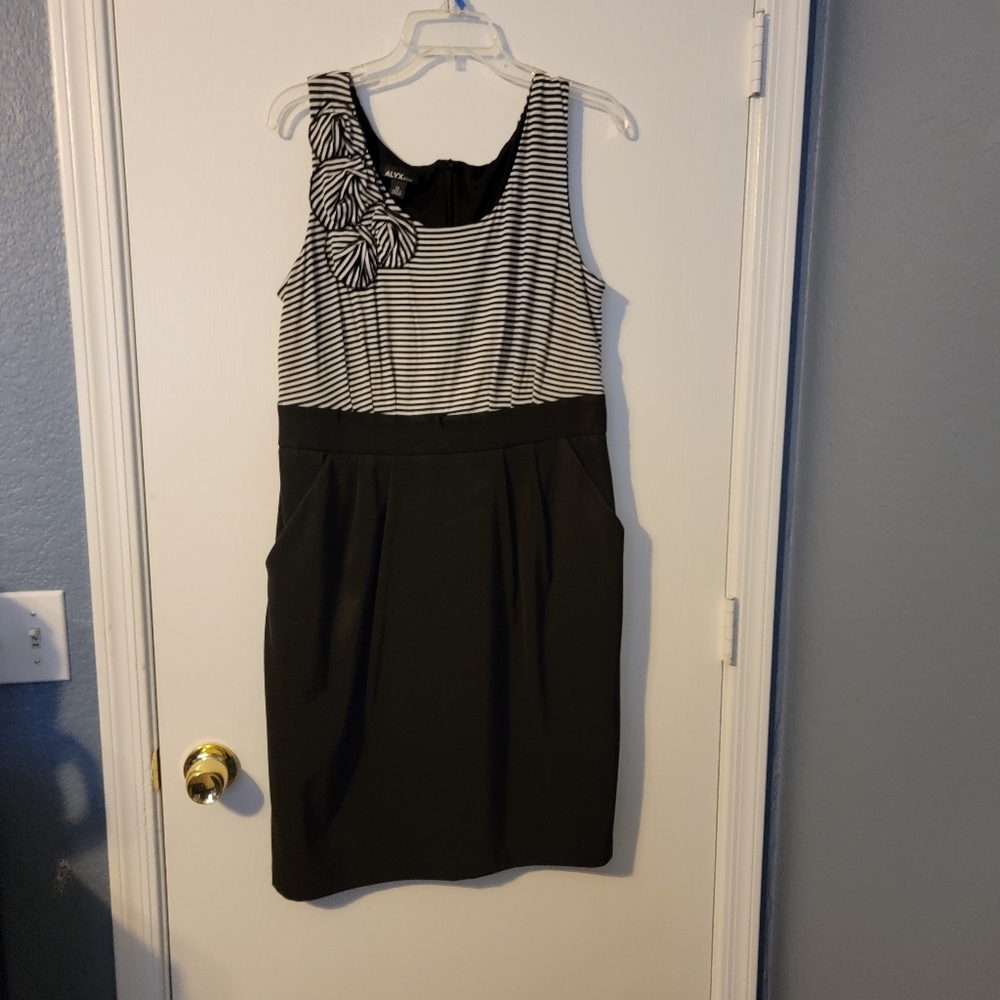 Alyx Dress 14 pockets black white